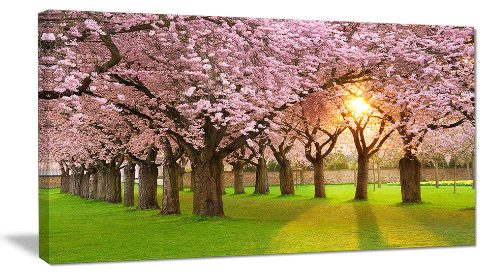 "Fascinating Springtime Cherry Scenery" Landscape Art Print Canvas, 40"x20"