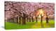 "Fascinating Springtime Cherry Scenery" Landscape Art Print Canvas, 40"x20"