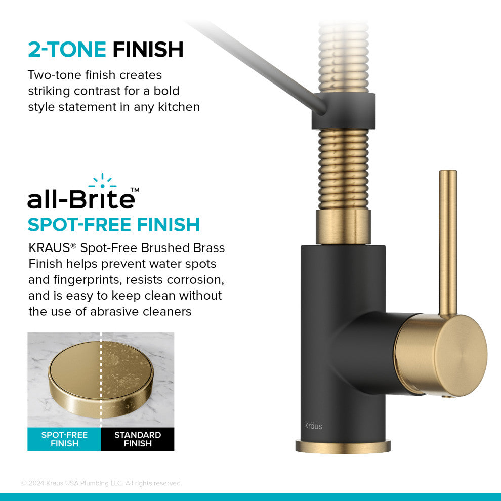 Bolden Commercial Style 2-Function Pull-Down 1-Handle 1-Hole Kitchen Faucet, Brushed Brass/ Matte Black