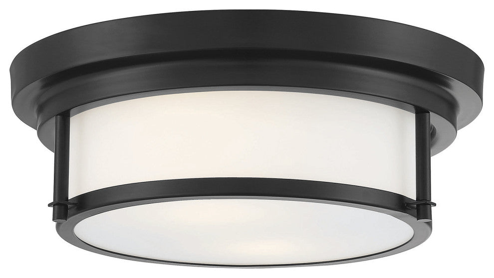 2-Light Ceiling Light, Matte Black