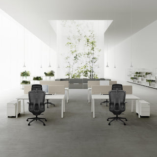 Ergonomic Office Mesh Chair with Lumbar Support Adjustable Armchair Tall Back