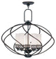 Westfield Chandelier, Olde Bronze