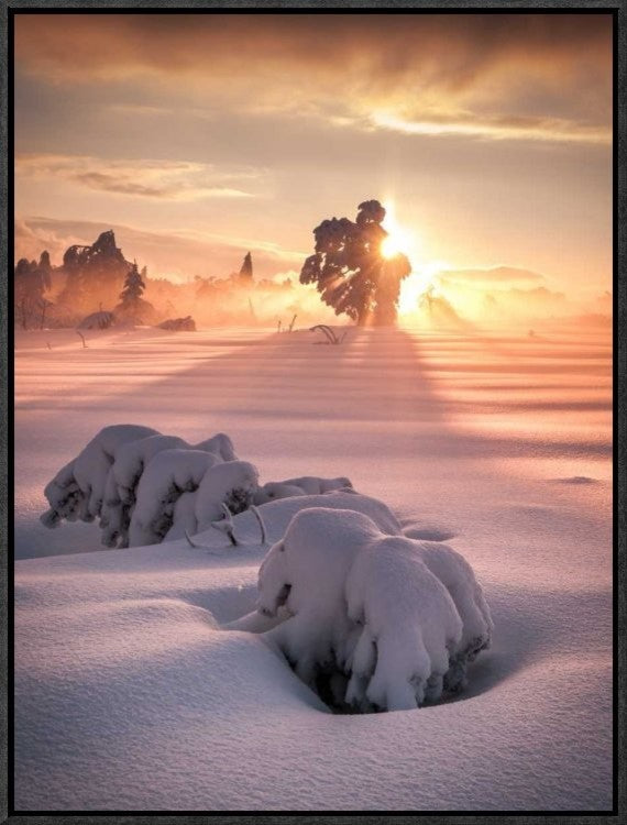"After The Storm" Framed Canvas Giclee by Andreas Wonisch, 17x23"
