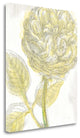 "Belle Fleur Yellow III Crop" By Sue Schlabach, Giclee on Gallery Wrap Canvas