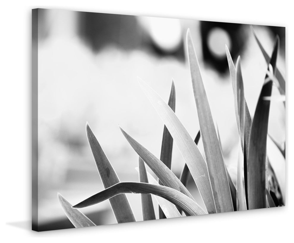 Marmont Hill, "Gentle" by Morgan Hartley Painting Print on Wrapped Canvas, 45x30