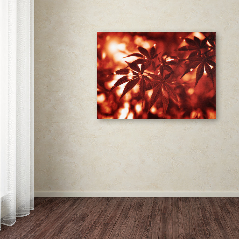 ''Welding Burns'' Canvas Art by Philippe Sainte-Laudy