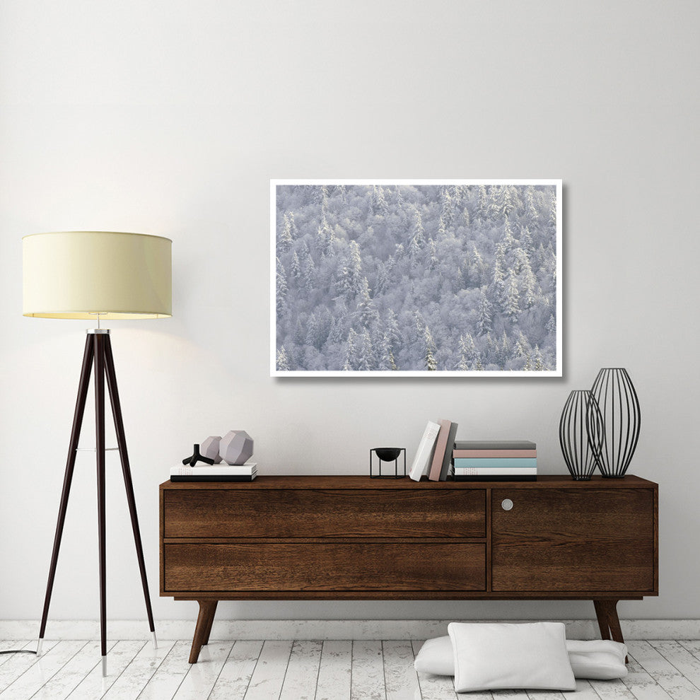 "Winter forest, British Columbia" Digital Paper Print by Tim Fitzharris, 50"x34"