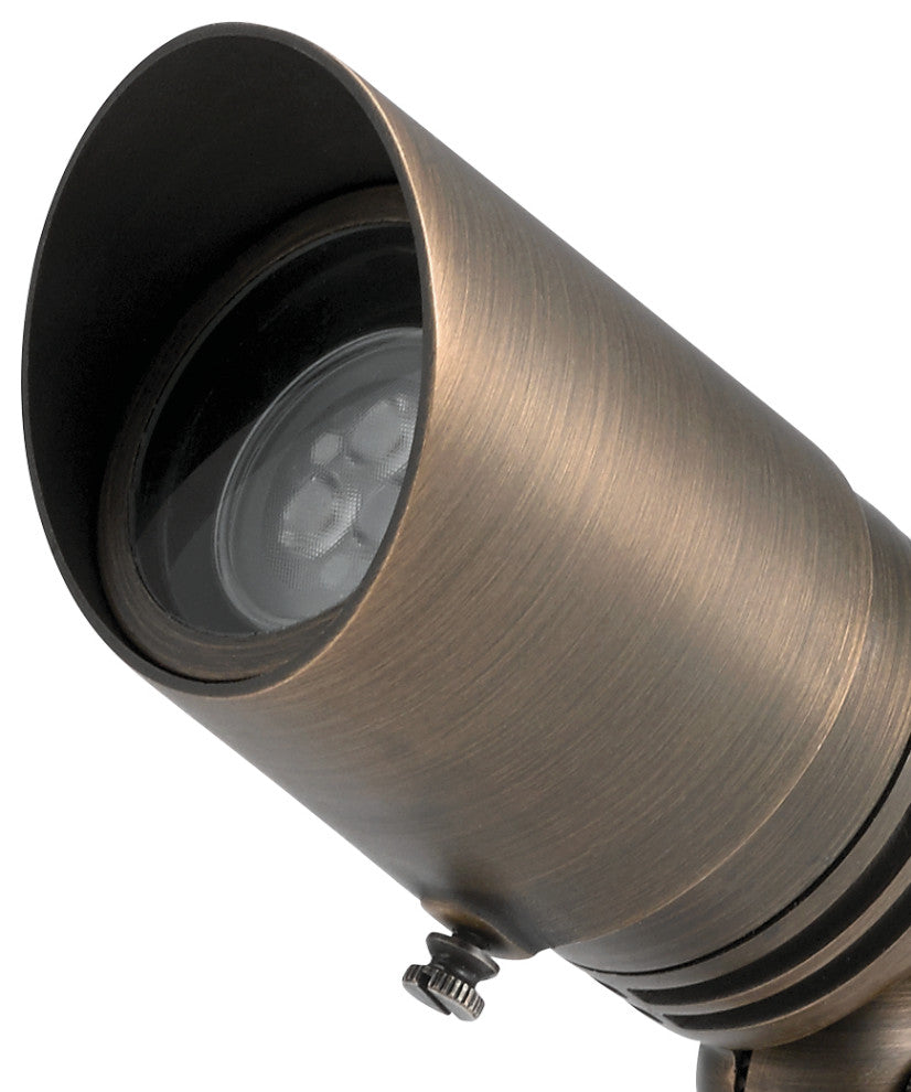 Centennial Brass MR16 Accent Fixed Socket