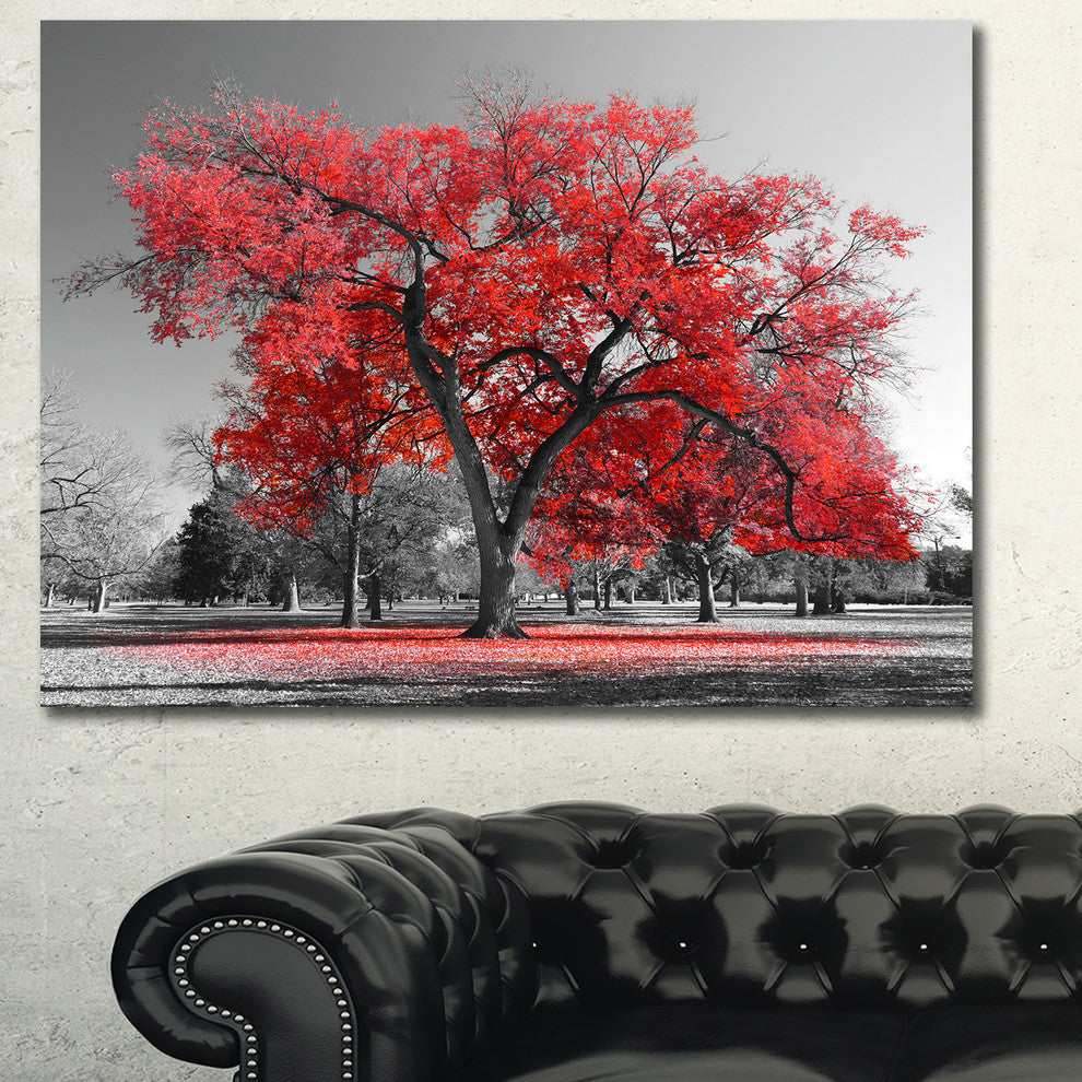 Big Red Tree on Foggy Day, Landscape Canvas Art Print, 40"x30"