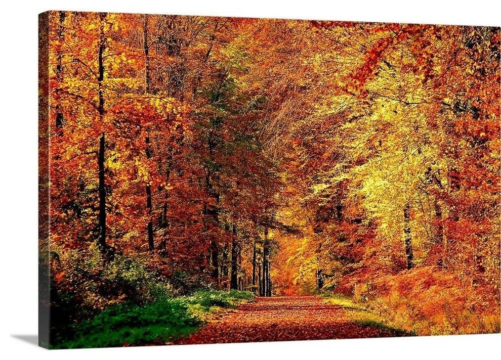 "Autumn Way" Wrapped Canvas Art Print, 36"x24"x1.5"