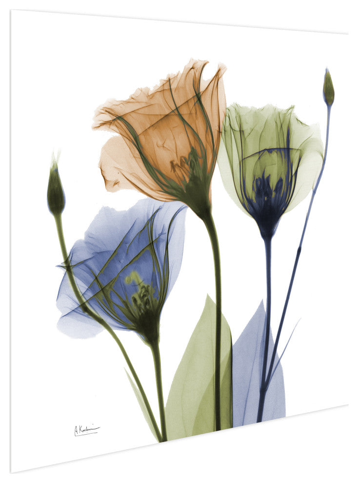 "Gentian Buddies" Frameless Free Floating Panel Graphic Wall Art, 24"x24"