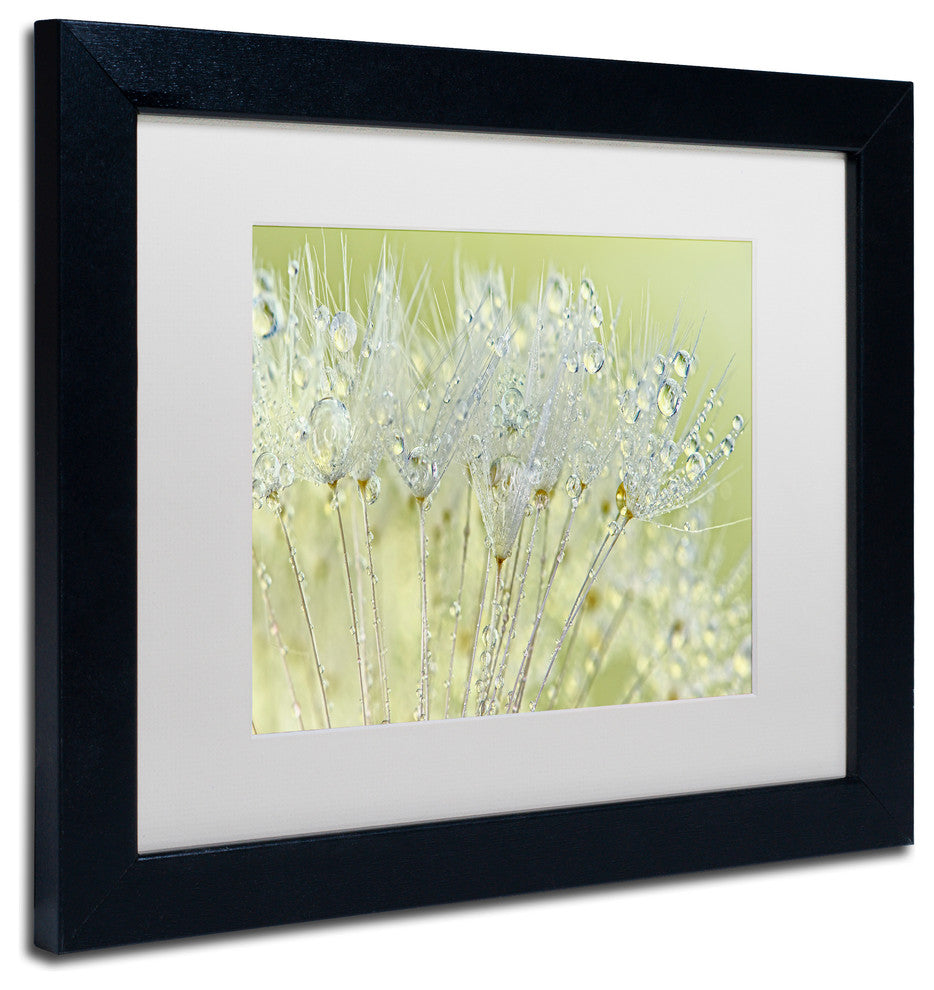Cora Niele 'Dandelion Dew I' Matted Framed Art