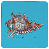 Conch Coaster - 3 Sets of 4 (12 Total)