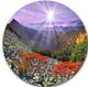 Rocky And Colorful Carpathian, Landscape Photo Disc Metal Wall Art, 23"