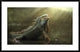 "Morning Light" Framed Digital Print by Fahmi Bhs, 44x28"