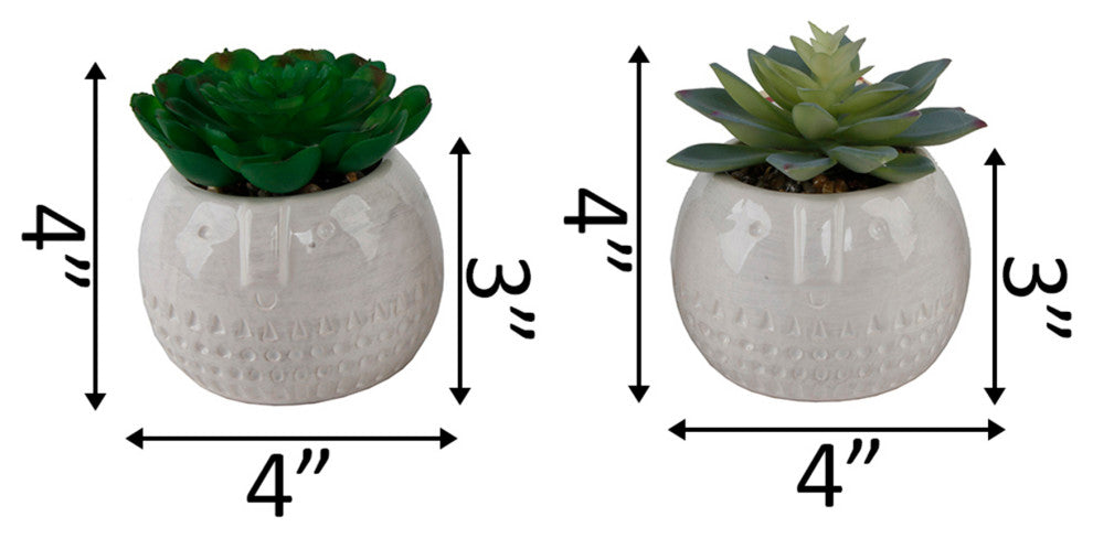 Set Of 2 Faux Succulent In Cylinder Cool Faceceramic Pot