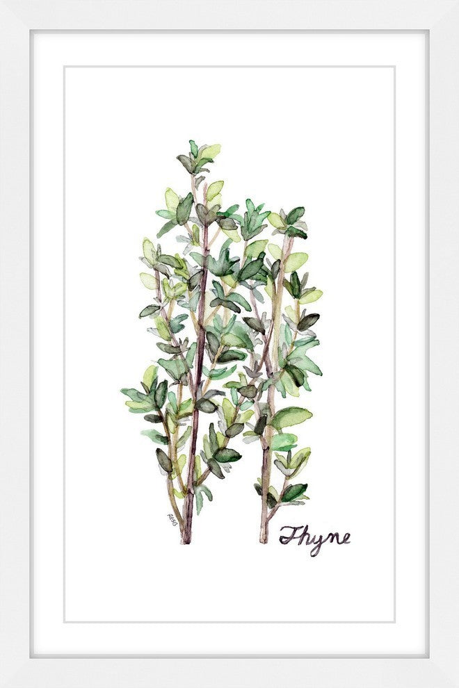 "Herb Thyme" Framed Print by Rachel Byler