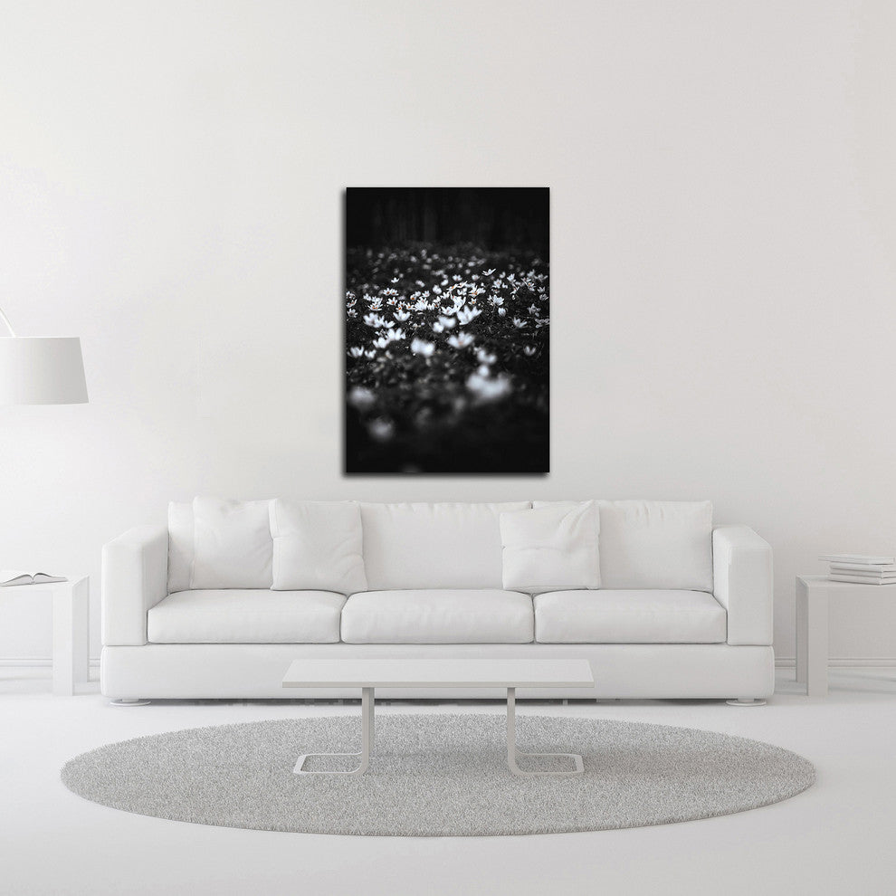 Windflowers by Design Fabrikken, Print on Canvas, 20"x28"