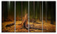 Dark Fall Forest on Foggy Morning, Landscape Canvas Art Print, 48"x28", 4 Panels