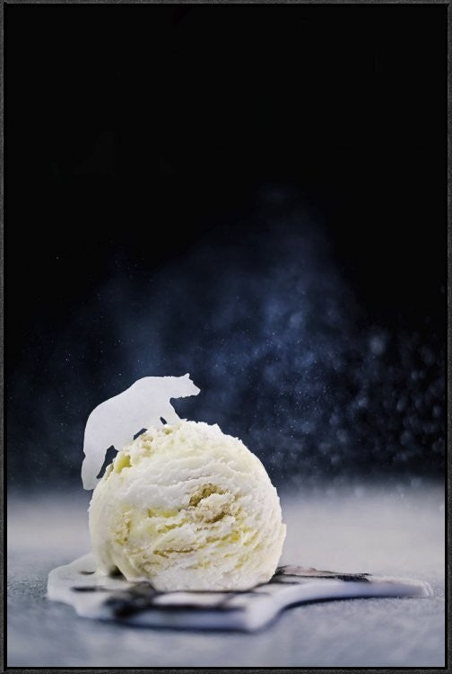 "Polar Bear (Powdered Sugar)" Framed Canvas Giclee by Dina Belenko, 25x37"