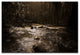 ''The River'' Canvas Art by Philippe Sainte-Laudy