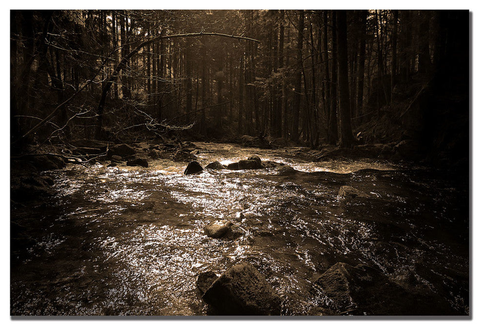''The River'' Canvas Art by Philippe Sainte-Laudy