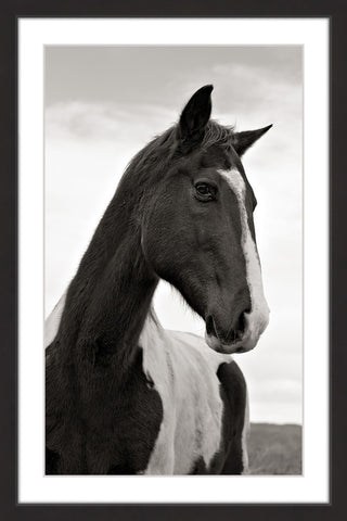 "Ranch Horse Wisdom" Framed Painting Print, 24x36