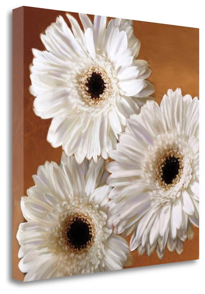 "Gerber Delight II" By Janel Pahl, Giclee Print on Gallery Wrap Canvas