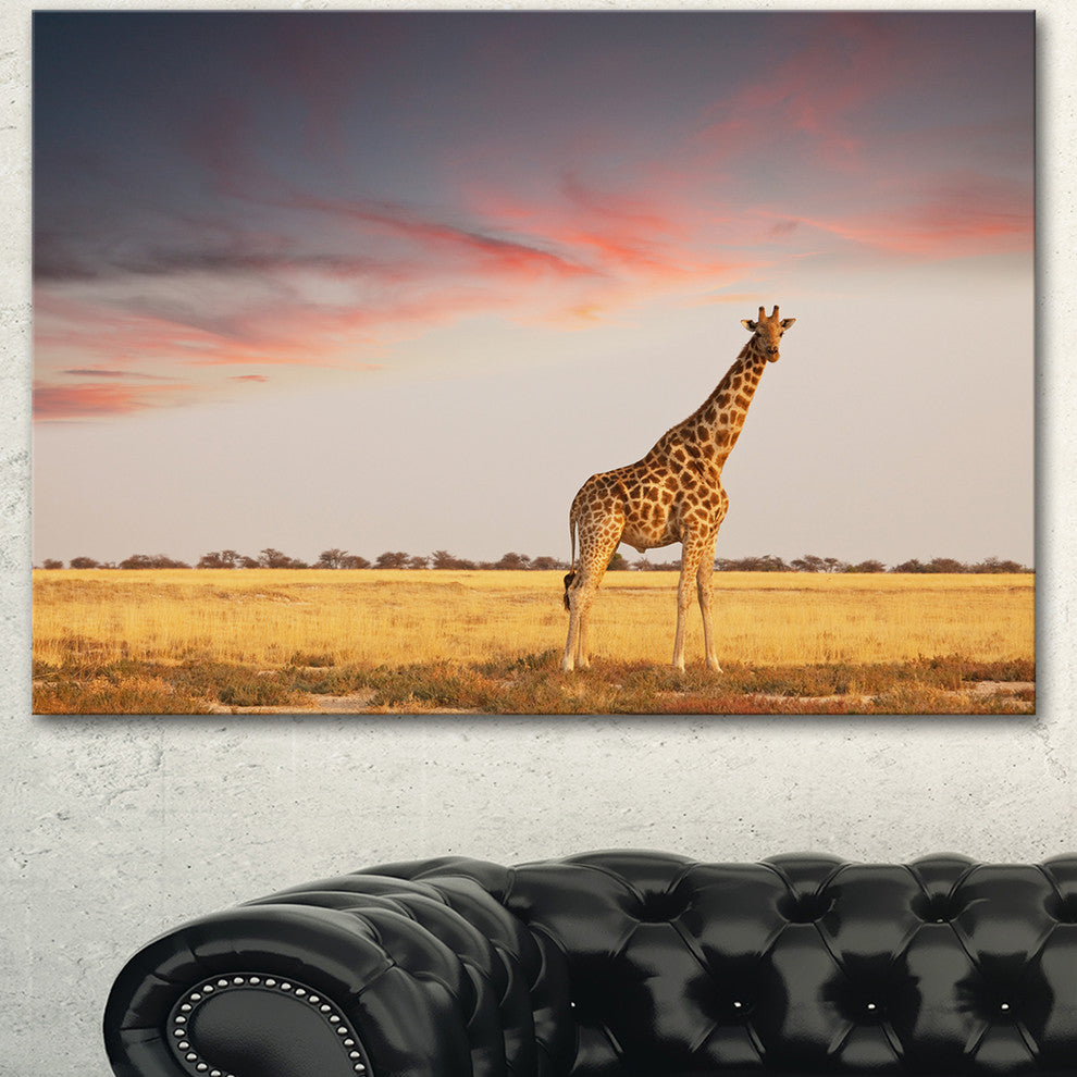 Single Giraffe in Savannah, African Canvas Art Print, 40"x30"