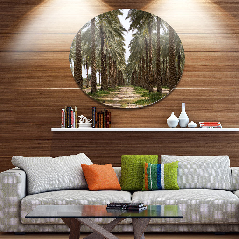 Date Palm Plantation Photography, Modern Forest Round Wall Art, 11"