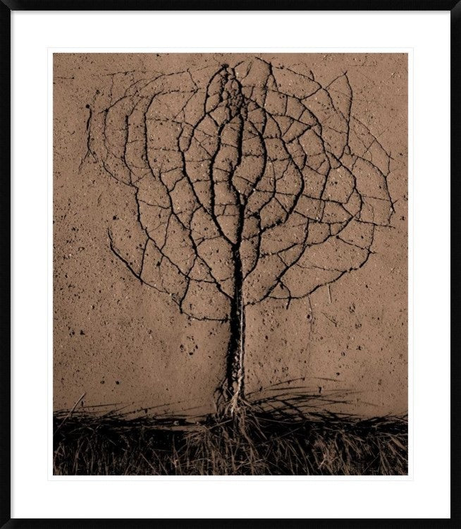 "Asphalt Tree" Framed Digital Print by Rasto Gallo, 33x38"
