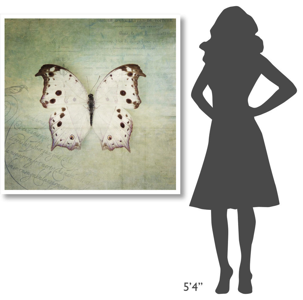 "French Butterfly IV" Digital Paper Print by Debra Van Swearingen, 42"x42"