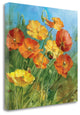 "Summer Field IV" By Danhui Nai, Giclee Print on Gallery Wrap Canvas