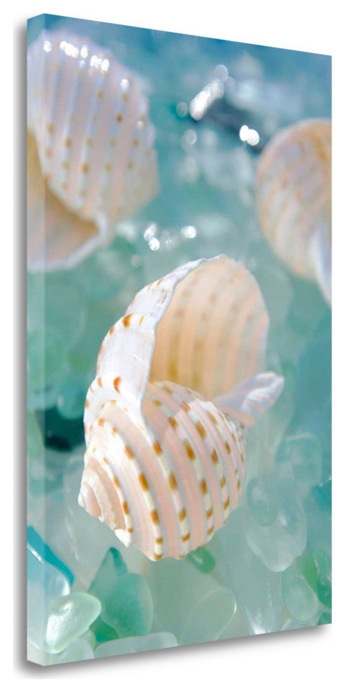 24" Seashell and Seaglass Giclee Wrap Canvas Wall Art