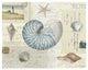 "Beach Wonders I No Butterflies" Digital Paper Print by Katie Pertiet, 26"x22"