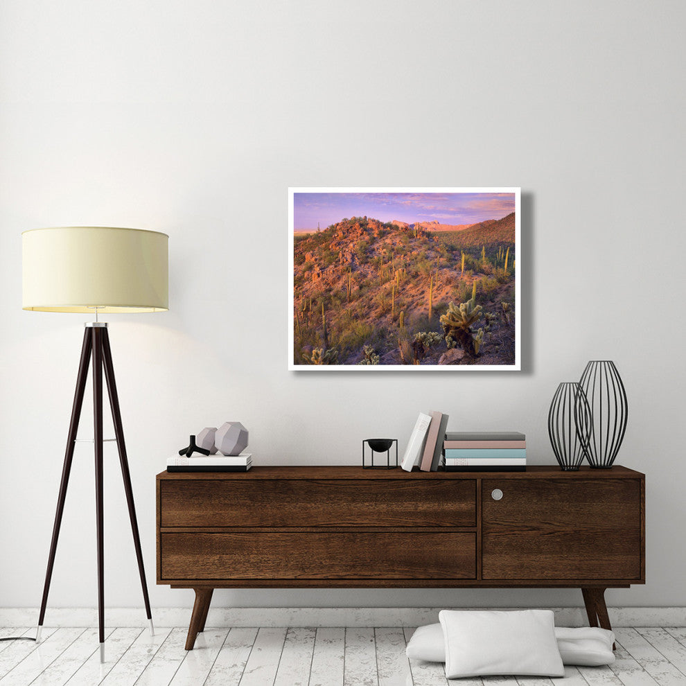 "Panther, Safford Peaks covered, Saguaro, Teddybear Cholla" Paper Art, 42"x32"