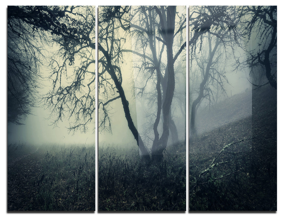 "Forest With Green Fog in Morning" Photo Metal Wall Art, 3 Panels, 36"x28"