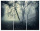 "Forest With Green Fog in Morning" Photo Metal Wall Art, 3 Panels, 36"x28"