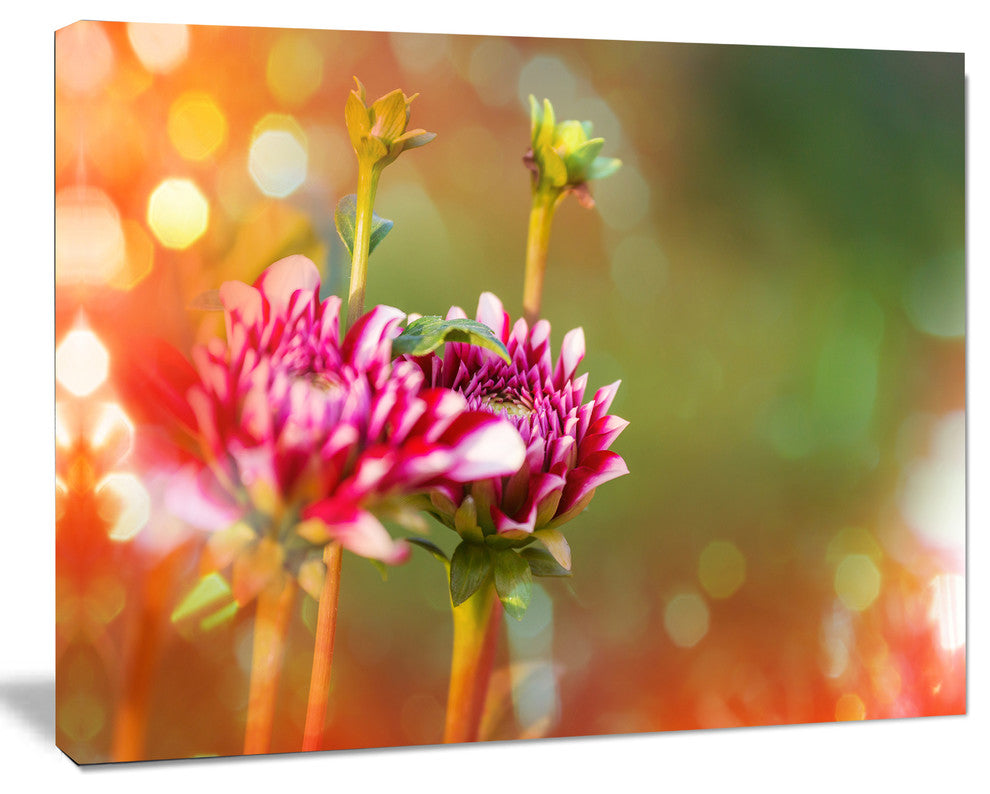 Pink Flowers on Blurred Background, Large Flower Canvas Wall Art, 20"x12"