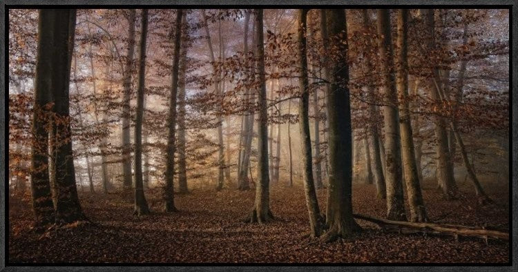 "Autumn" Framed Canvas Giclee by Norbert Maier, 23x12"