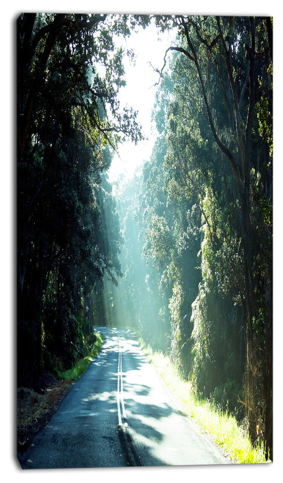 Road in the Jungle At Sunset, Landscape Canvas Art Print, 16"x32"