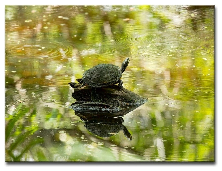 Ready2HangArt 'Warm Glory' Canvas Wall Art, 20"x30"