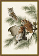 Owl Print 2, Giclee Reproduction Artwork