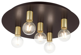 Bronze Transitional, Versatile, Modern, Urban, Minimal Flush Mount