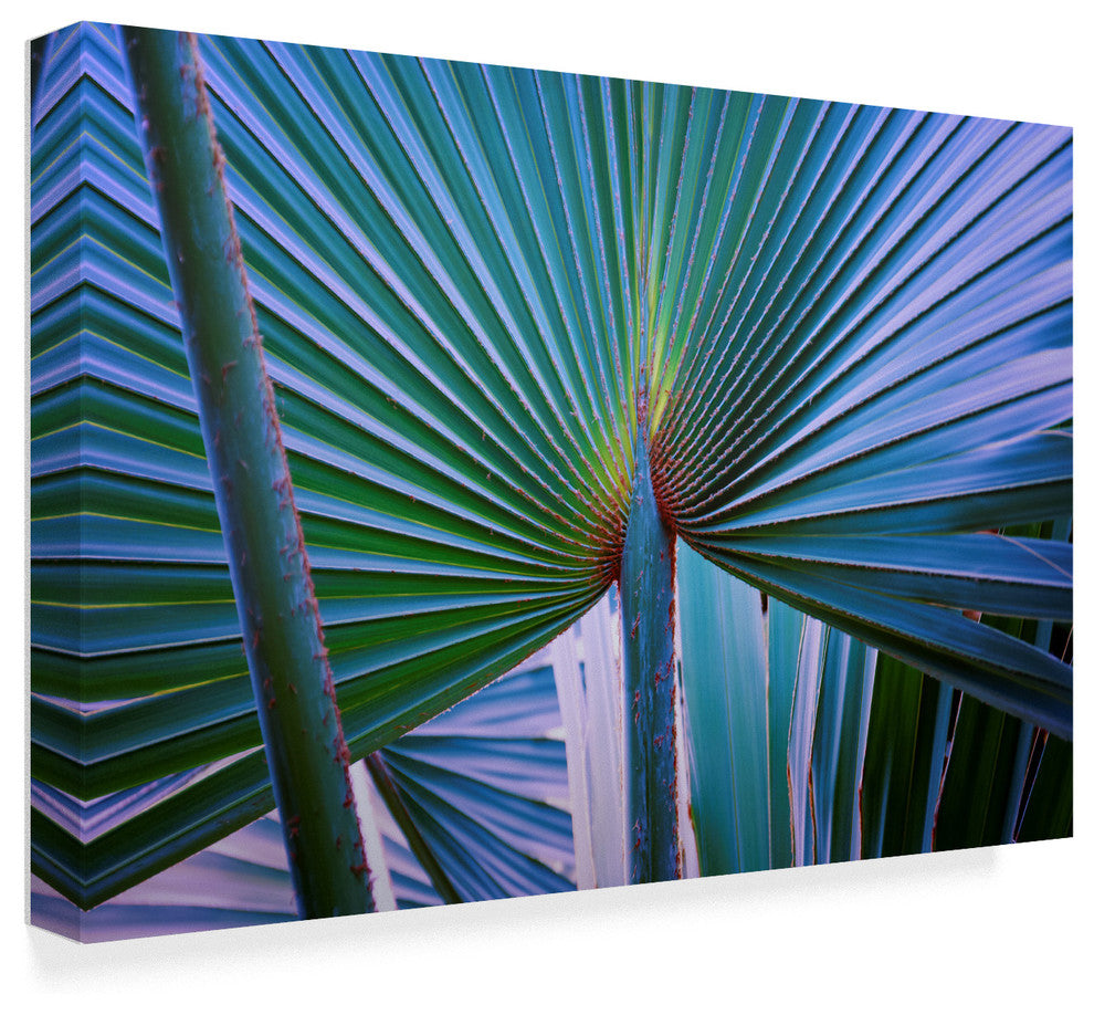 "Abstract Art Palm Leaf" by Anthony Paladino, Canvas Art