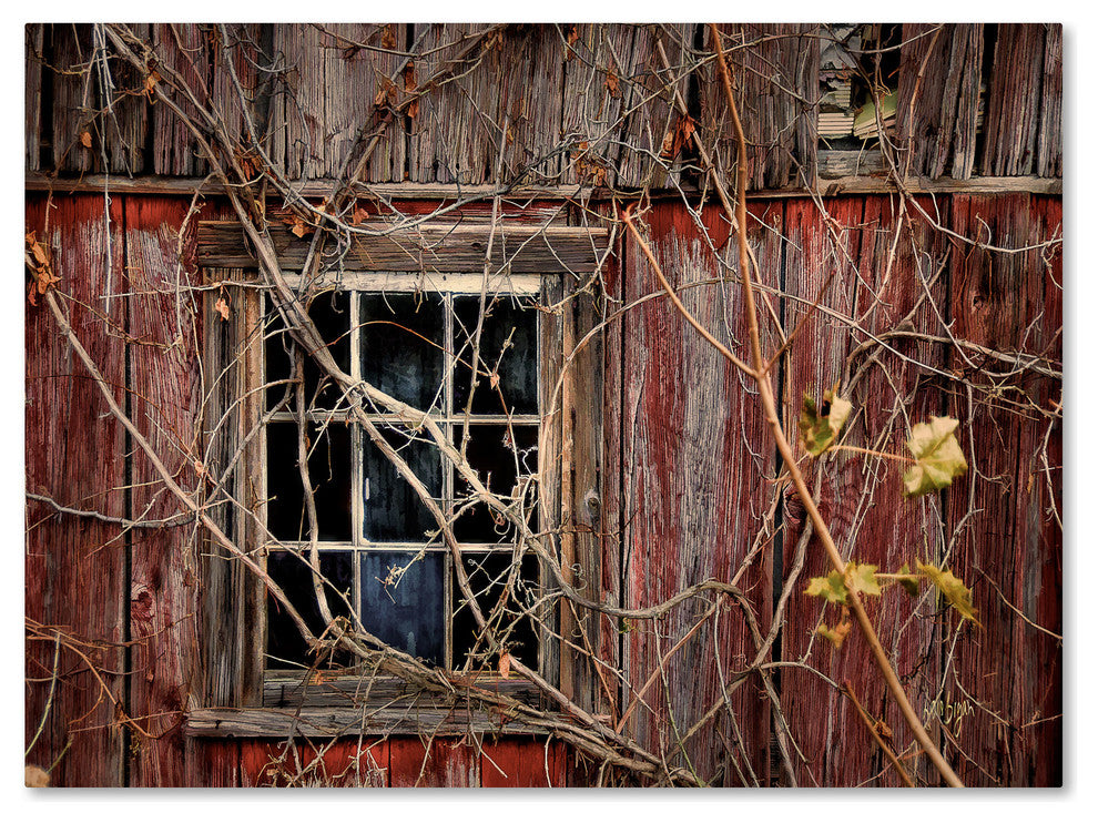 'Old Barn Window' Canvas Art by Lois Bryan