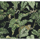Jungle Cat Wallpaper