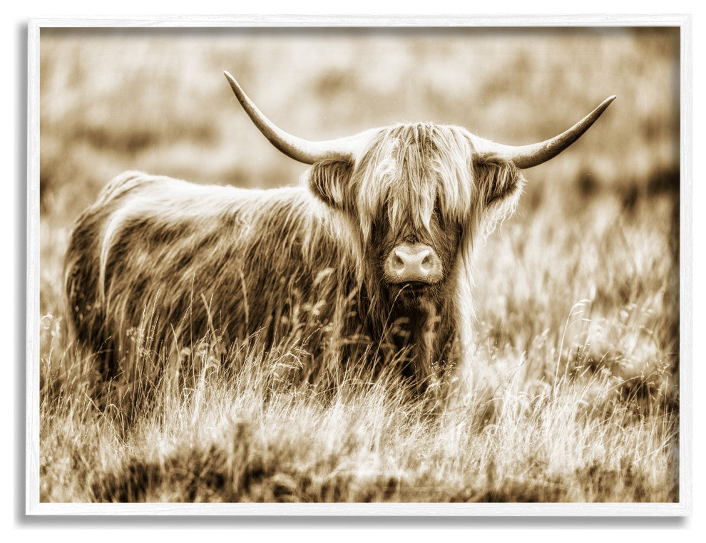 Vintage Cow In Pasture Animal Photo, 14 x 11