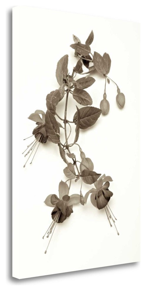 "Garden Bloom - 7" By Alan Blaustein, Giclee Print on Gallery Wrap Canvas