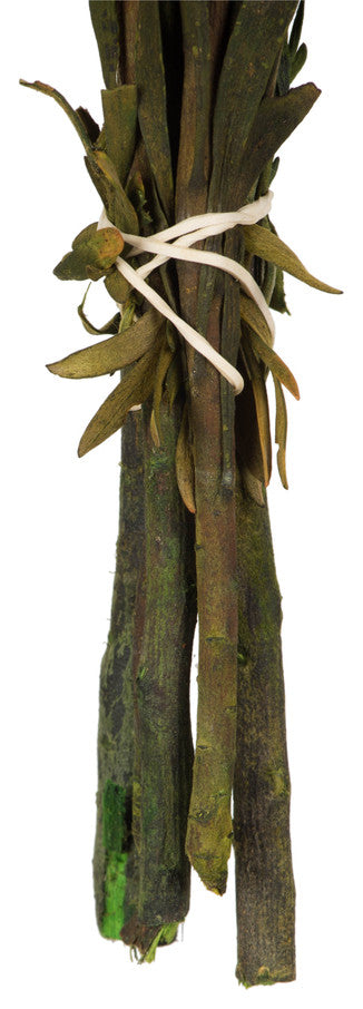 Vickerman 8"-20" Plumosum Bundle, Female, Preserved